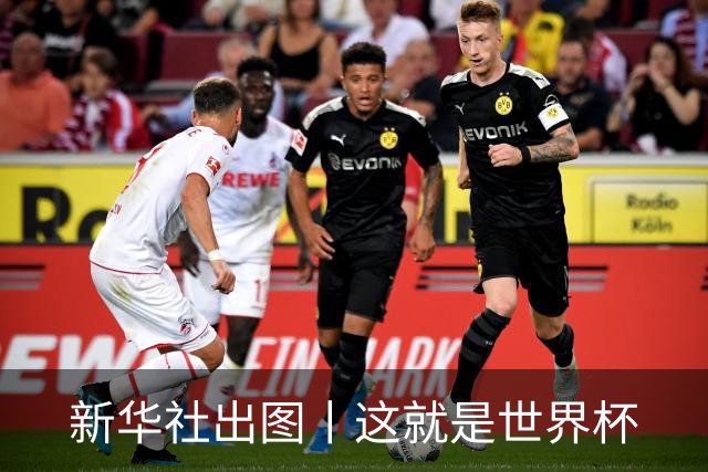 新华社出图丨这就是世界杯
